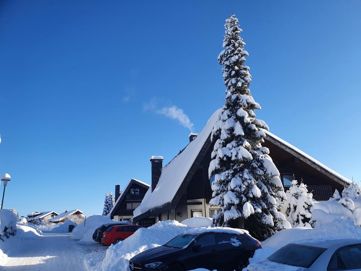 Ferienhaus-Schoenwald Im Herzen Des Schwarzwaldes 1Zimmer Wohnung Mit Terrasse App17 Exterior foto