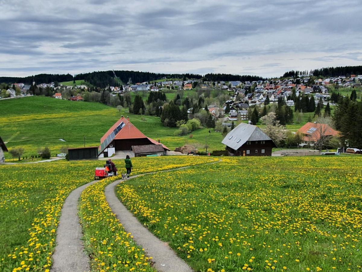 Ferienhaus-Schoenwald Im Herzen Des Schwarzwaldes 1Zimmer Wohnung Mit Terrasse App17 Exterior foto
