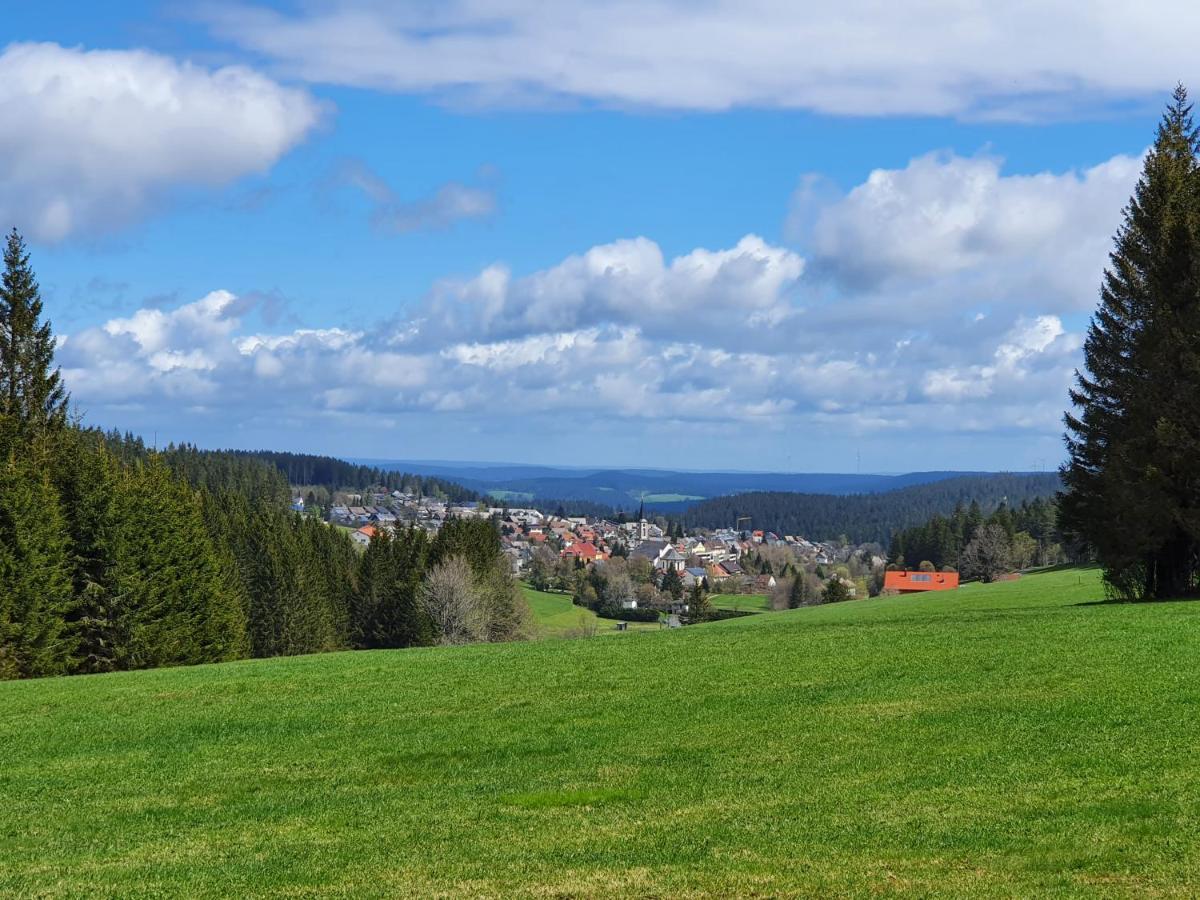 Ferienhaus-Schoenwald Im Herzen Des Schwarzwaldes 1Zimmer Wohnung Mit Terrasse App17 Exterior foto